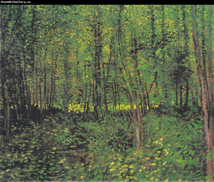 Vincent Van Gogh Trees and underwood